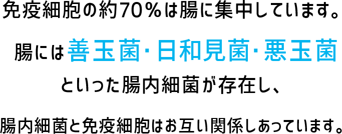 免疫細胞の約70%は腸に集中しています。腸には善玉菌・日和見菌・悪玉菌といった腸内細菌が存在し、腸内細菌と免疫細胞はお互い関係しあっています。